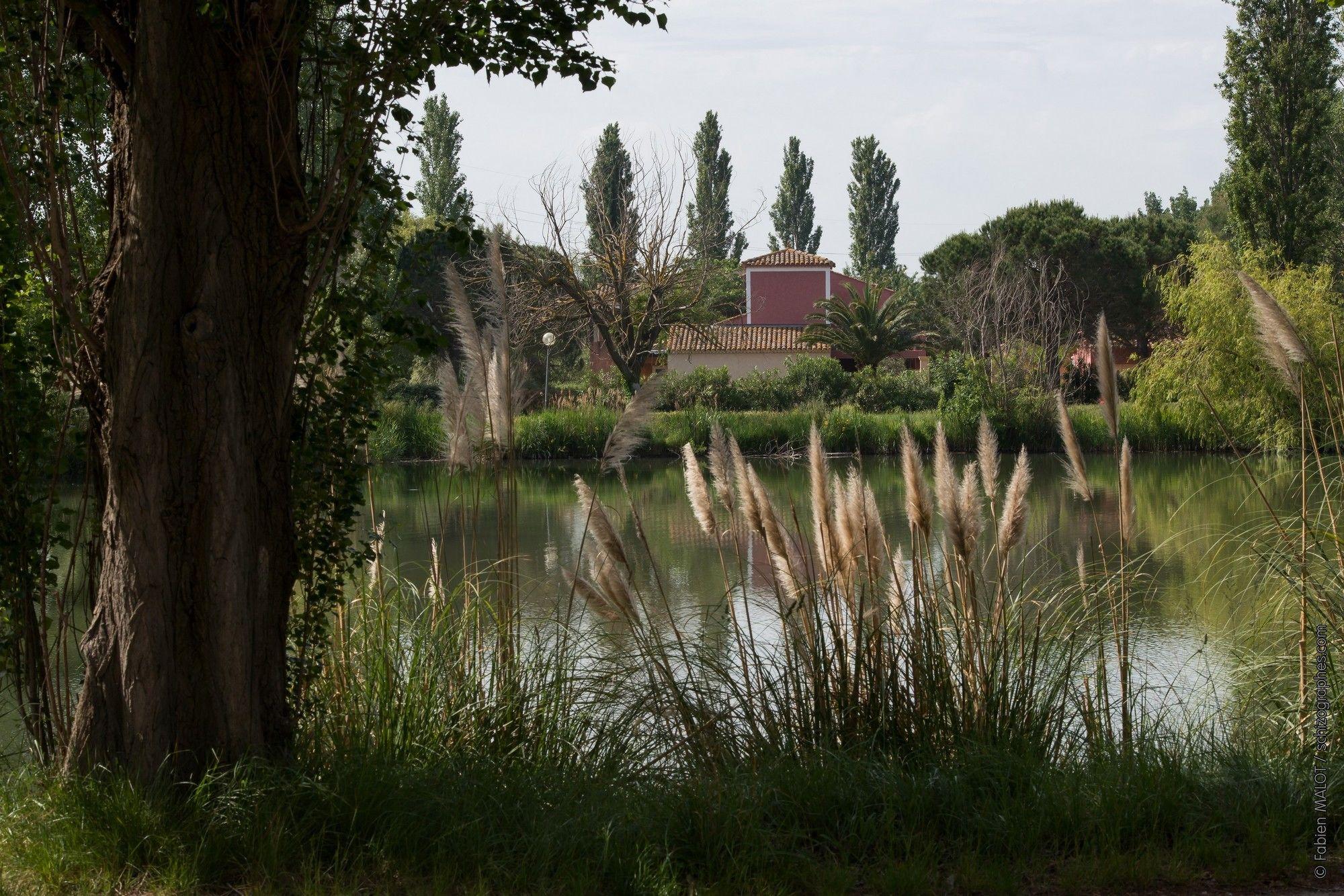 Adonis Arles By Olydea Aparthotel Esterno foto